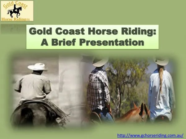 Gold Coast Horse Riding offers horse riding lessons of the h