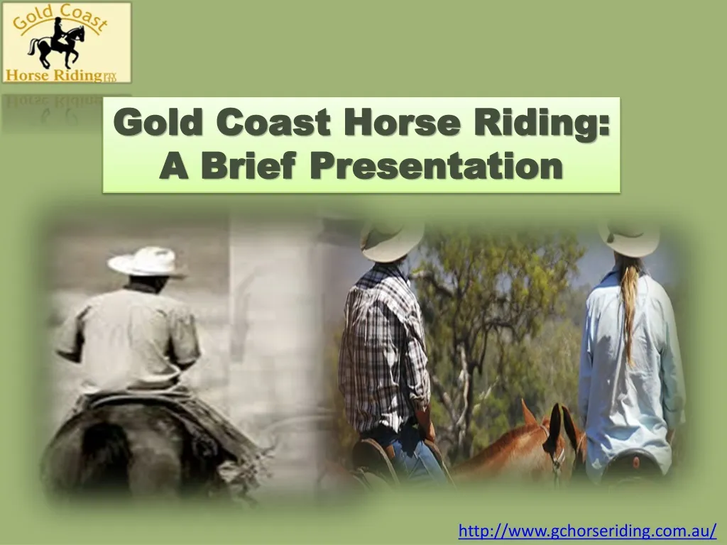 gold coast horse riding a brief presentation