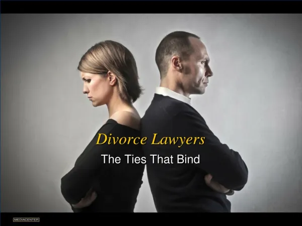Divorce Lawyers The Ties That Bind