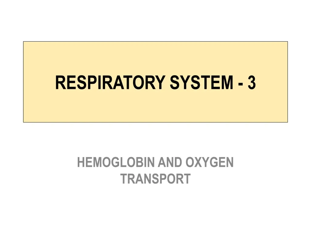 respiratory system 3
