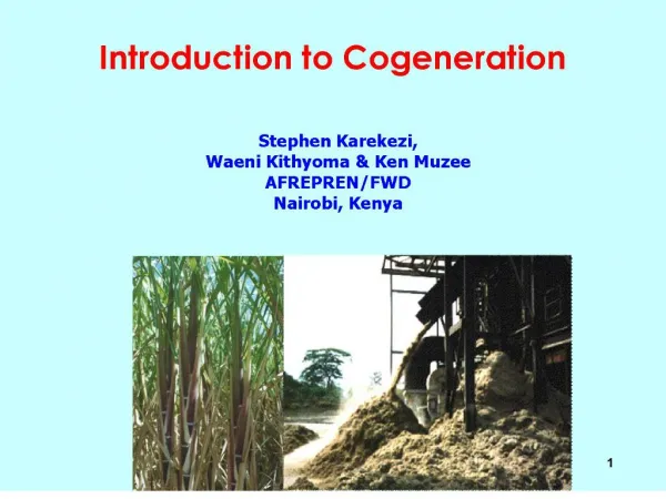 introduction to cogeneration