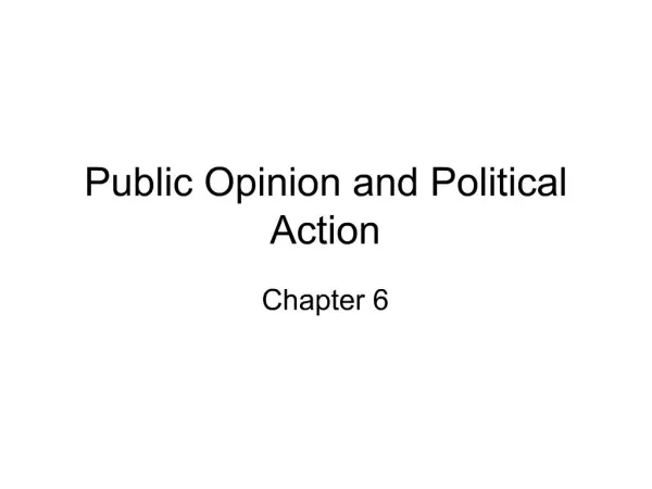 Public Opinion and Political Action