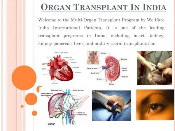 Organ Transplant Surgery India