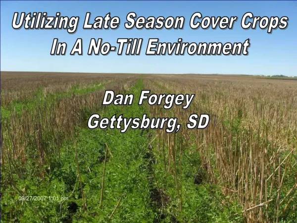 Utilizing Late Season Cover Crops In A No-Till Environment