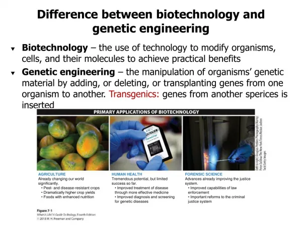 Difference between biotechnology and genetic engineering