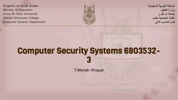Computer Security Systems 6803532-3