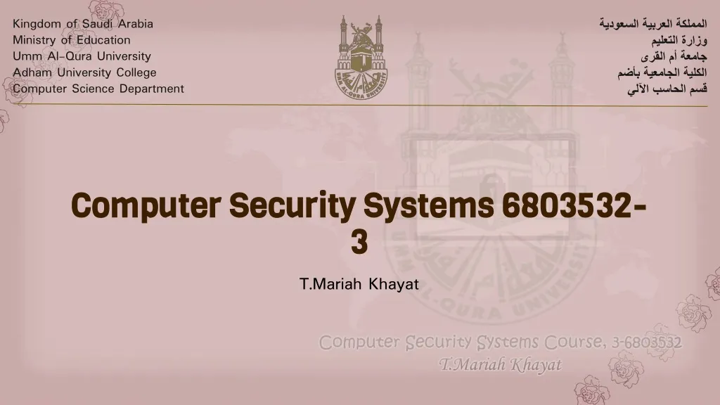 computer security systems 6803532 3