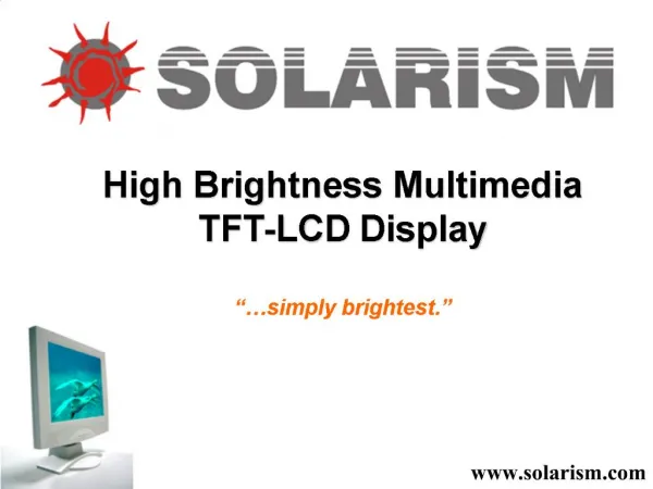 High Brightness Multimedia TFT-LCD Display simply brightest.