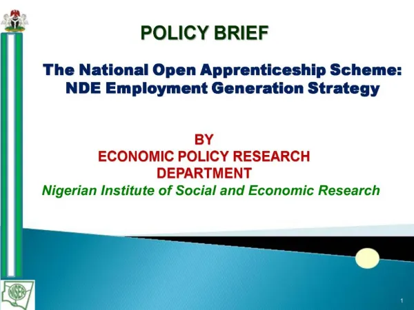 The National Open Apprenticeship Scheme: NDE Employment Generation Strategy