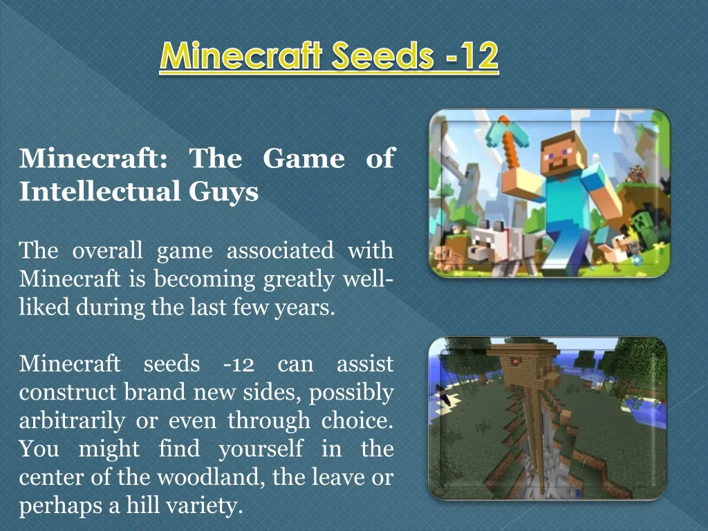 minecraft seeds 12