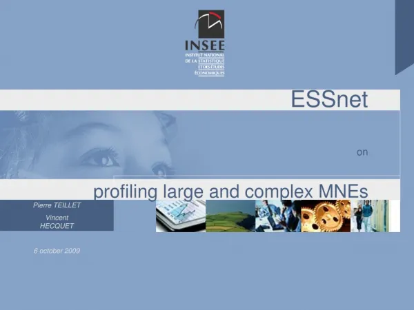 ESSnet on profiling large and complex MNEs