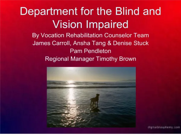 department for the blind and vision impaired