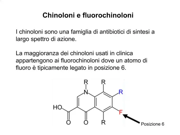 I chinoloni sono una famiglia di antibiotici di sintesi a largo spettro di azione. La maggioranza dei chinoloni usati