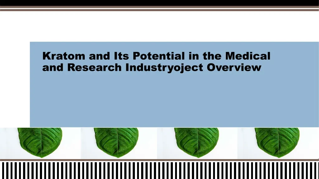kratom and its potential in the medical and research industryoject overview