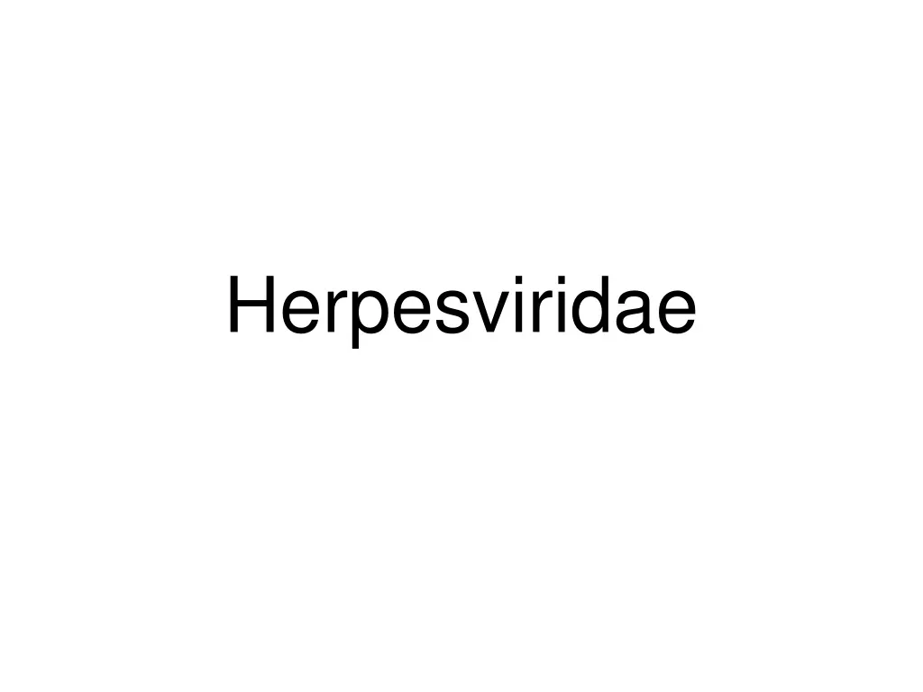 herpesviridae