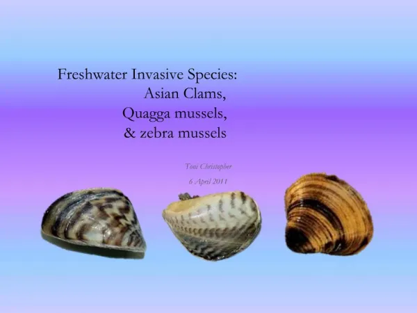 Freshwater Invasive Species: Asian Clams, Quagga mussels, zebra mussels