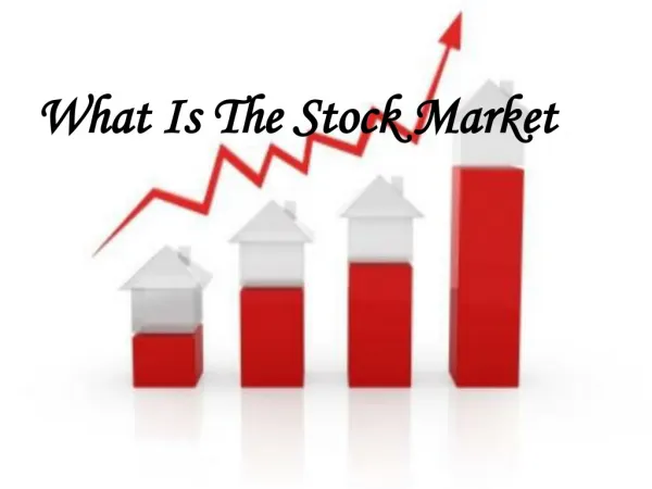 What is a Stock Market