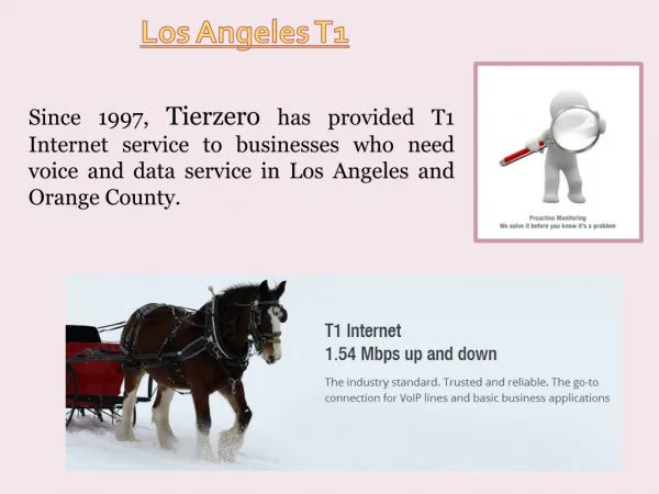 T1 Service Los Angeles