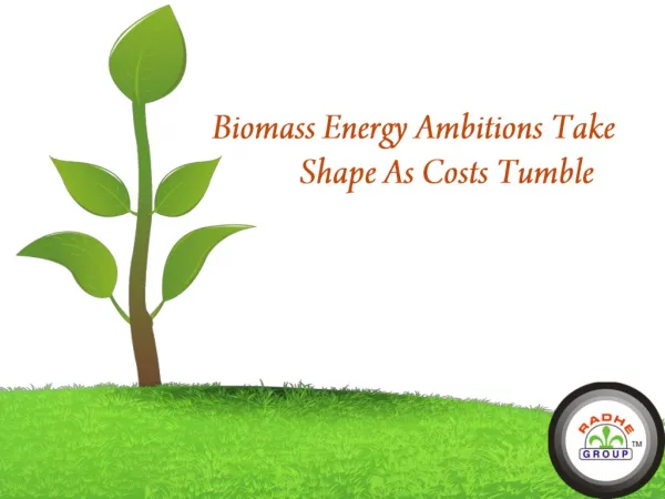 Biomass Energy Ambition Take Shape As Costs Tumble