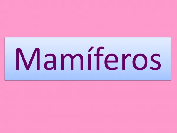 mam feros