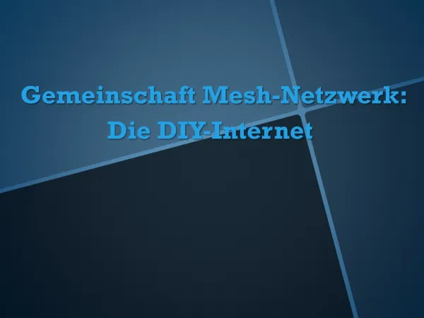 Gemeinschaft Mesh-Netzwerk: Die DIY-Internet