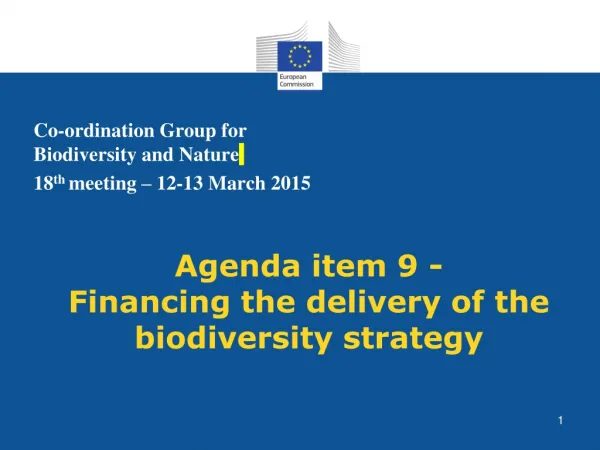 Agenda item 9 - Financing the delivery of the biodiversity strategy