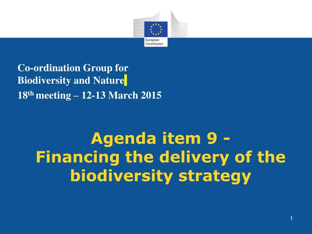 agenda item 9 financing the delivery of the biodiversity strategy