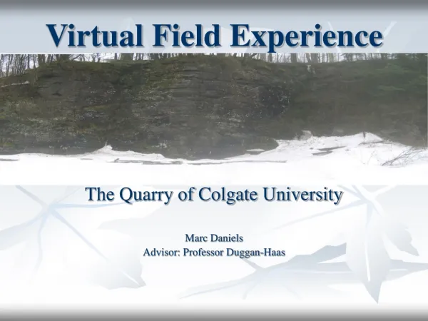 Virtual Field Experience