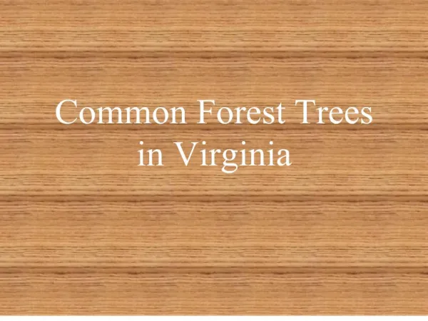 common forest trees in virginia