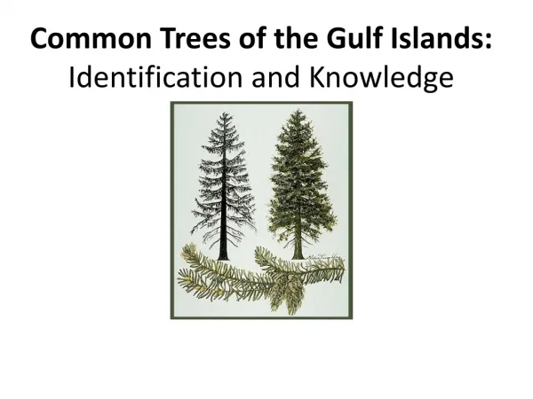 Common Trees of the Gulf Islands: Identification and Knowledge