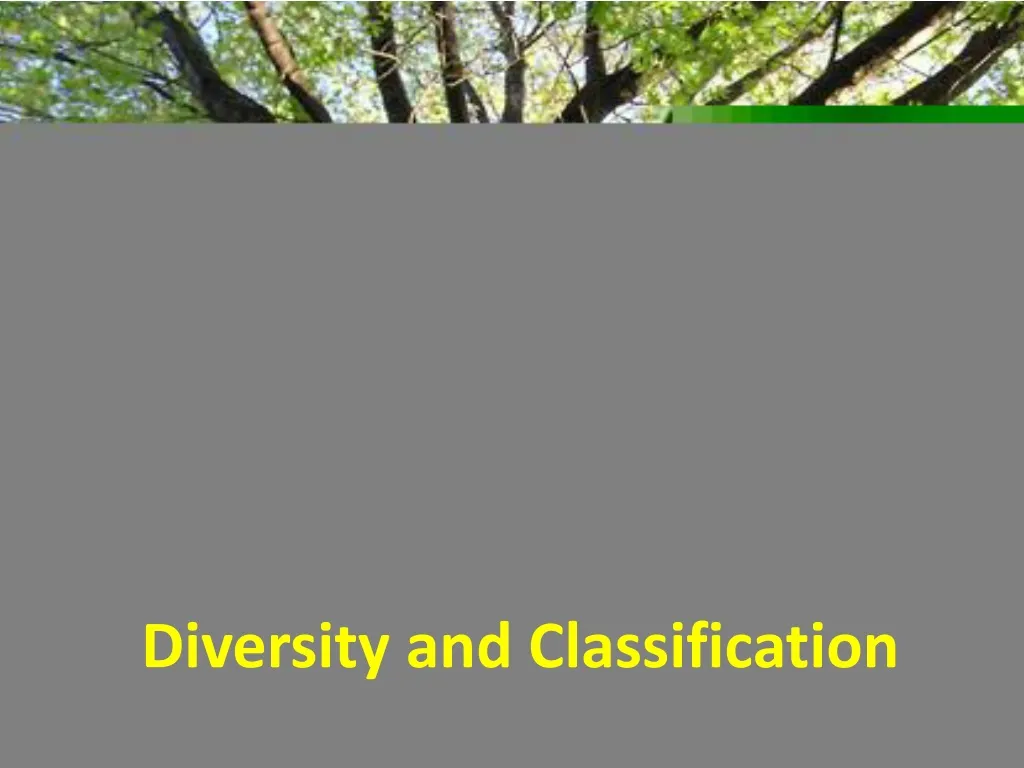 diversity and classification