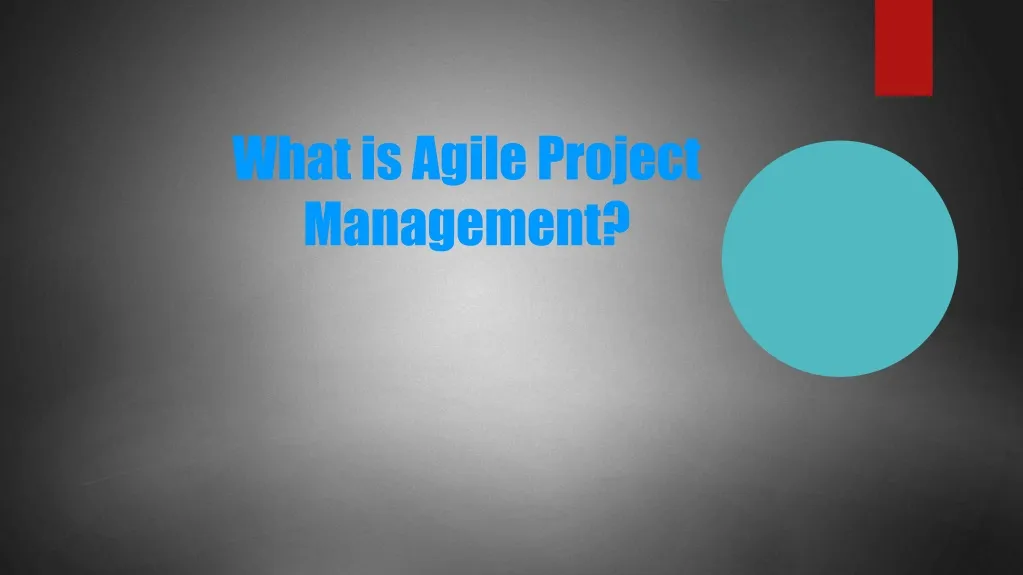 what is agile project management