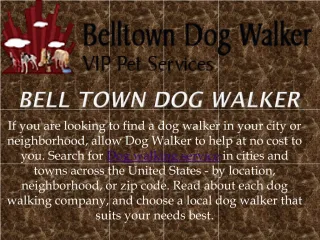 Dog Walking Service - slide 1