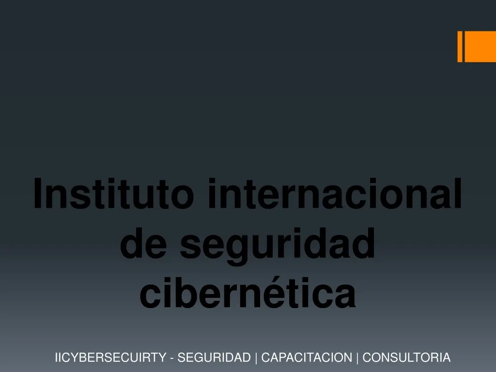 instituto internacional de seguridad cibern tica