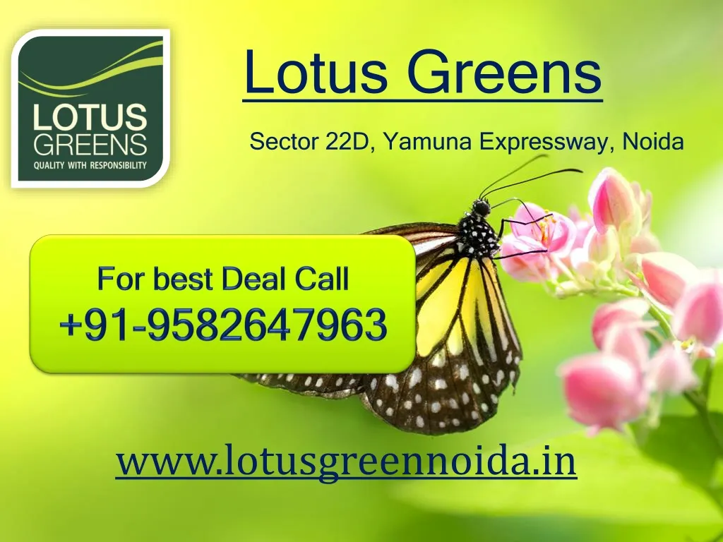 lotus greens