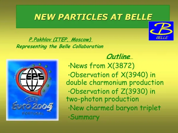 NEW PARTICLES AT BELLE