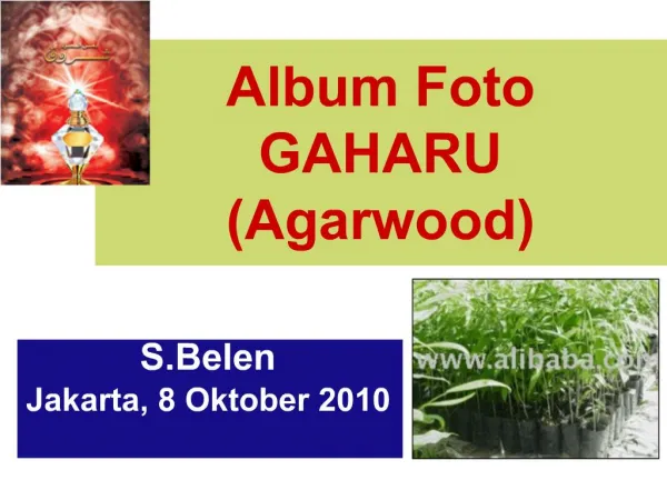 Album Foto GAHARU Agarwood