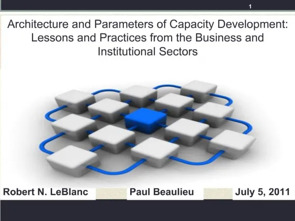 Architecture and Parameters of Capacity Development: Lessons and Practices from the Business and Institutional Sectors