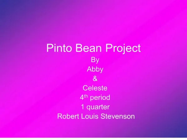 pinto bean project
