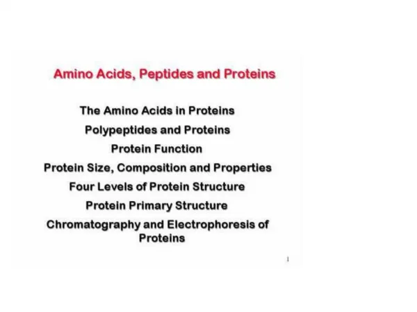 Digestion and absorption of proteins Protein enters the stomach and the low pH: