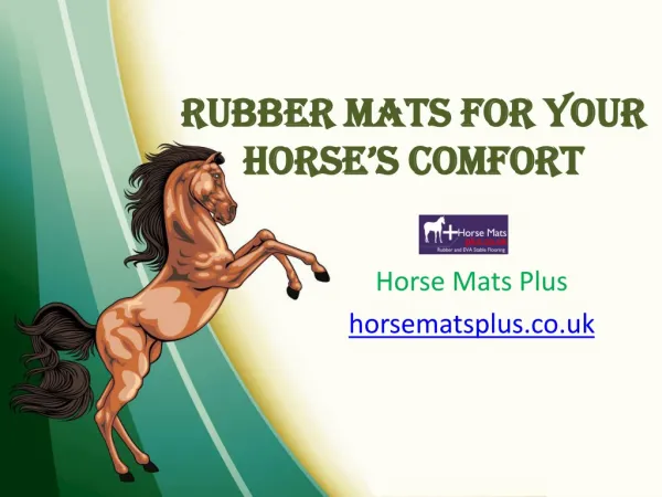 Rubber Mats For Your Horse