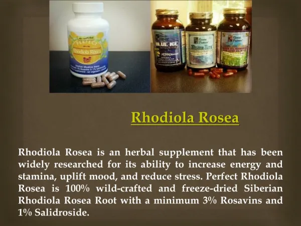 Buy Rhodiola