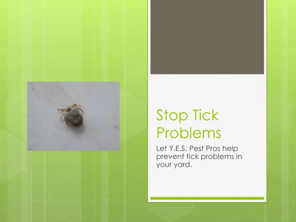 stop tick problems