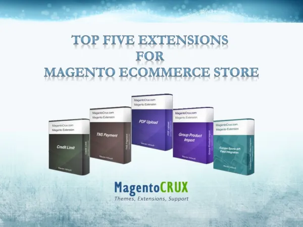 Top five Extensions For Magento Ecommerce Store