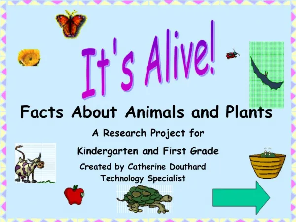 Facts About Animals and Plants