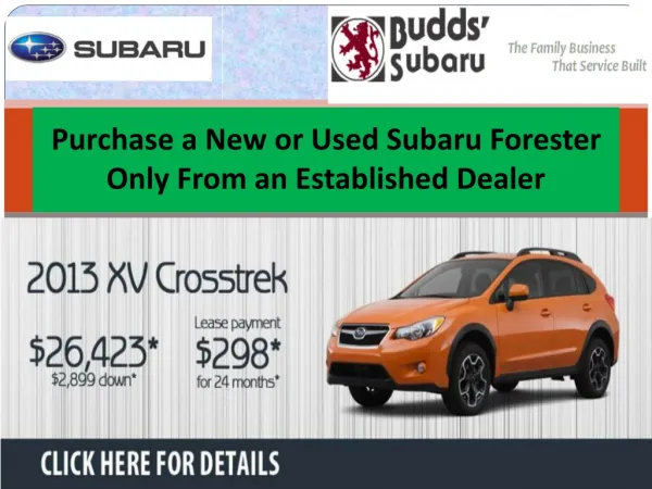 Purchase a New or Used Subaru Forester Only From an Establis