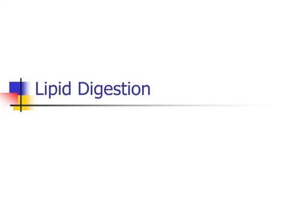 Lipid Digestion