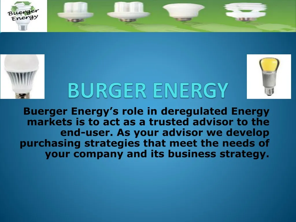 burger energy