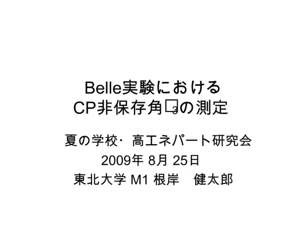 Belle CP3