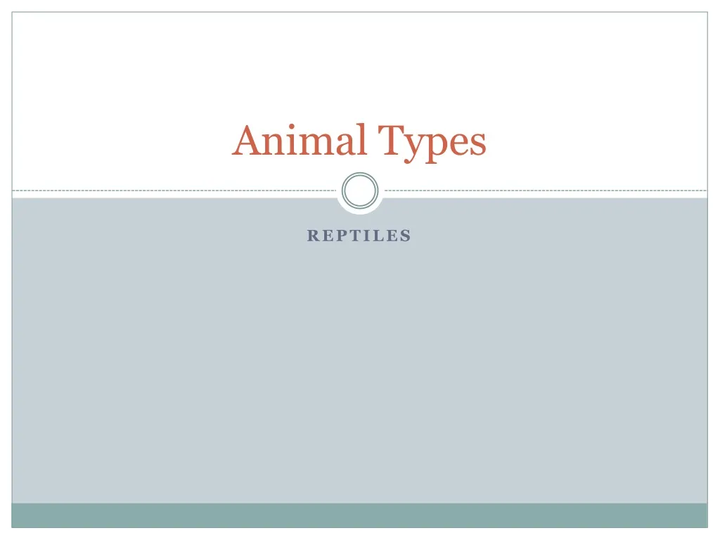 animal types